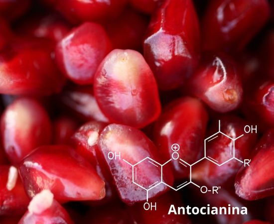 antocianina estructura química
